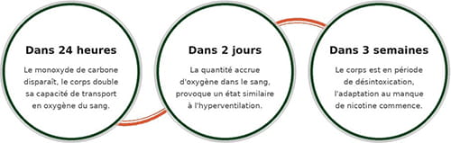 Le métabolisme du corps après l’arrêt du tabac